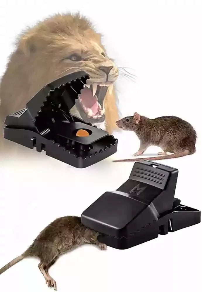Durable Mouse Trap (Pack of 3) – Reusable Rodent Catcher for Home, Kitchen & Office
