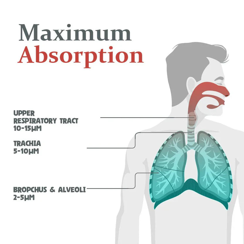 Portable Mesh Nebulizer – Quiet USB Rechargeable Inhaler for Kids & Adults